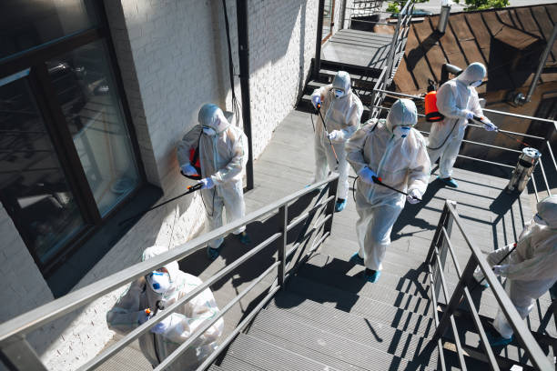 Best Black Mold Removal  in Taylor Lake Village, TX