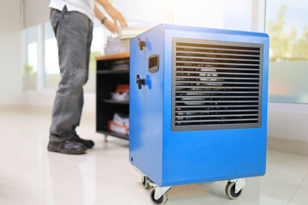 Taylor Lake Village, TX Mold Removal Company