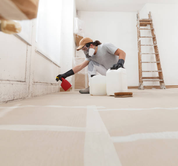 Best Mold Prevention Services  in Taylor Lake Village, TX